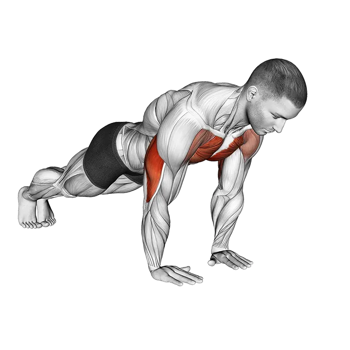 Close-grip Push-up exercise animation (Male)