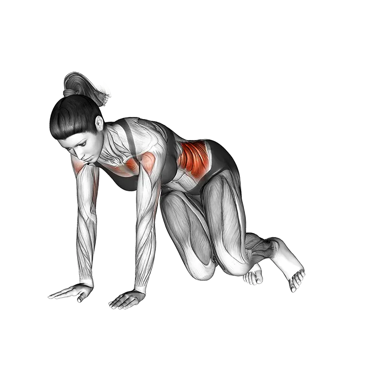 Corkscrew Push-up exercise animation (Female)