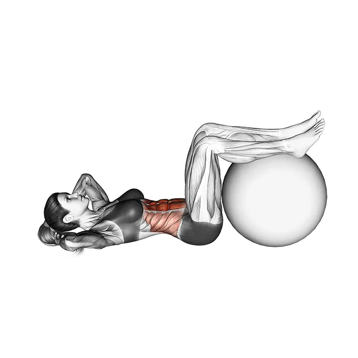 Crunch (legs on stability ball) exercise animation (Female)