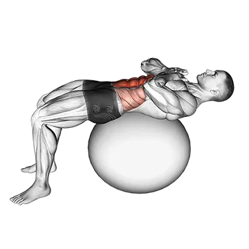 Crunch (on stability ball)
