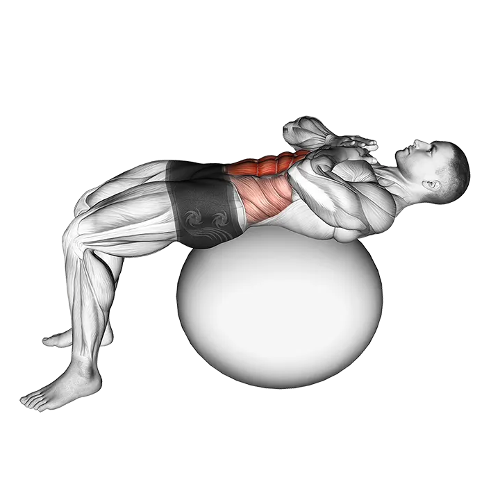 Crunch (on stability ball) exercise animation (Male)