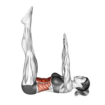 Crunch (straight leg-up)