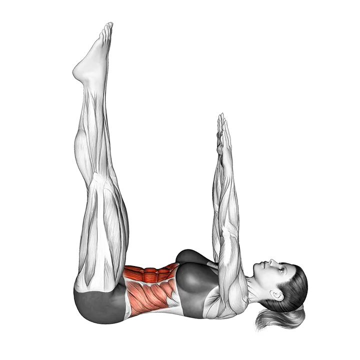 Crunch (straight leg-up) exercise animation (Female)