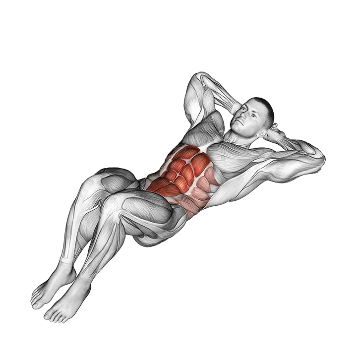 Crunch Floor exercise animation (Male)