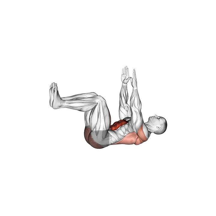 Dead Bug exercise animation (Male)