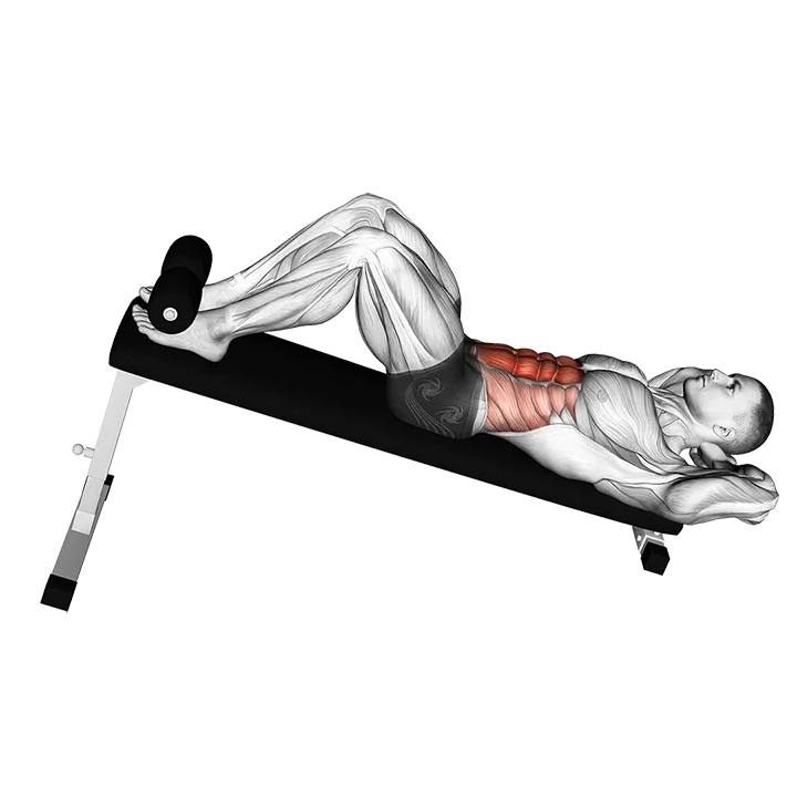Decline Crunch exercise animation (Male)