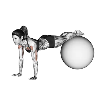 Decline Push-up (on stability ball)