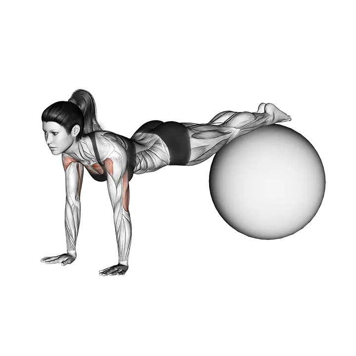 Decline Push-up (on stability ball) exercise animation (Female)