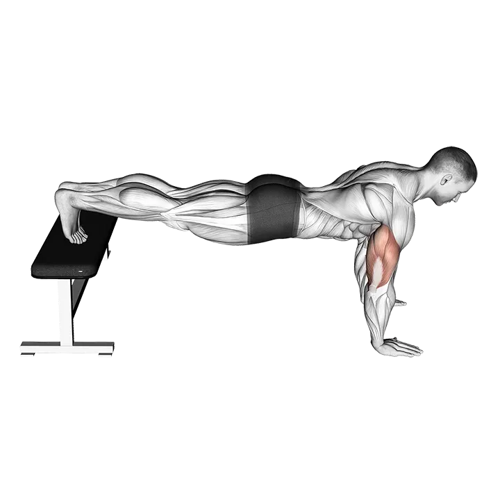Decline Push-Up exercise animation (Male)