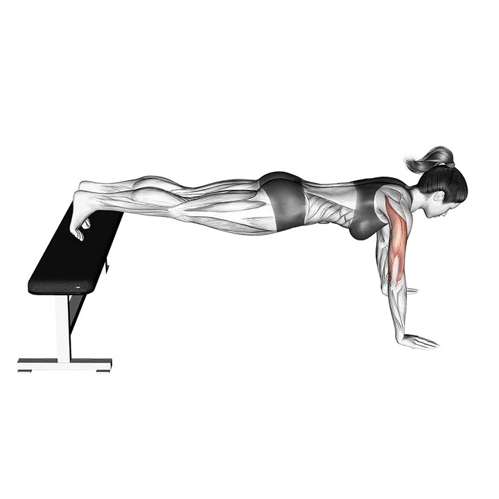 Decline Push-Up exercise animation (Female)