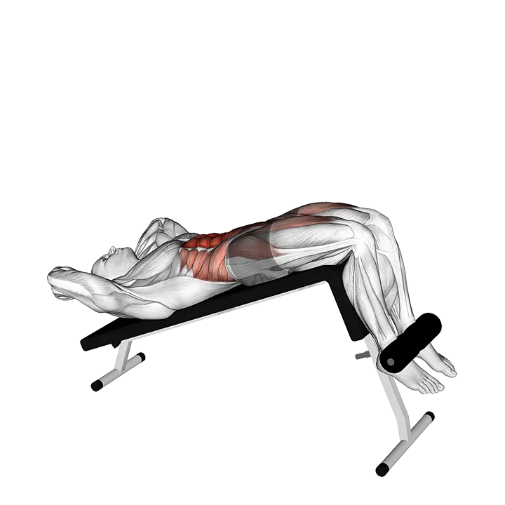 Decline Sit-up exercise animation (Male)