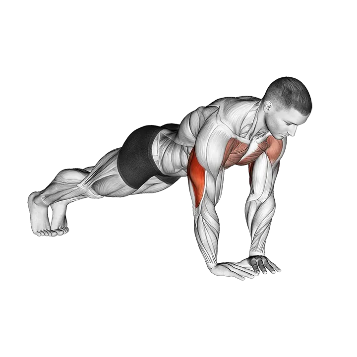 Diamond Push-up exercise animation (Male)