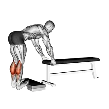 Donkey Calf Raise
