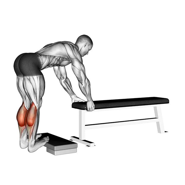 Donkey Calf Raise exercise animation (Male)