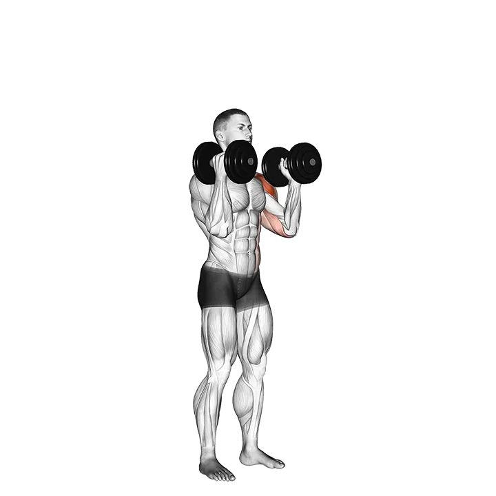 Dumbbell Alternate Side Press exercise animation (Male)