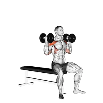 Dumbbell Arnold Press (version 2)
