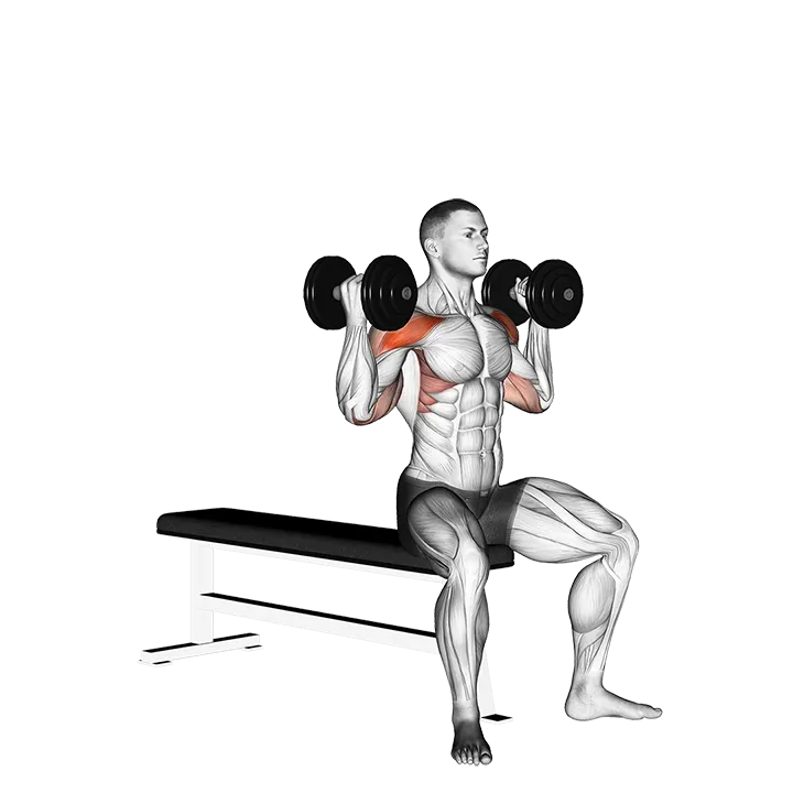 Dumbbell Arnold Press (version 2) exercise animation (Male)