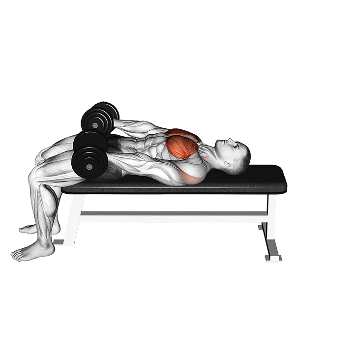 Dumbbell Around Pullover exercise animation (Male)