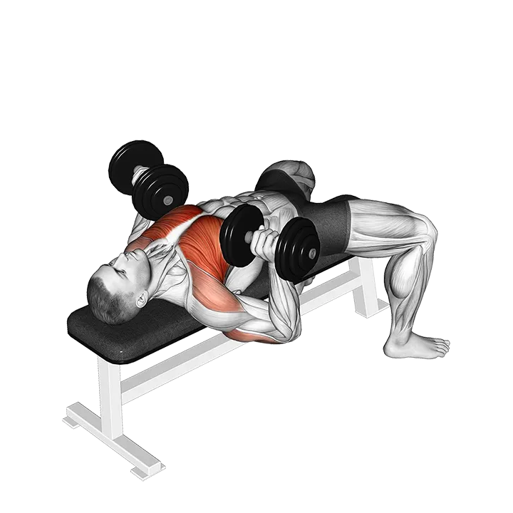 Dumbbell Bench Press exercise animation (Male)