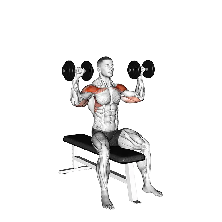 Dumbbell Bench Seated Press exercise animation (Male)