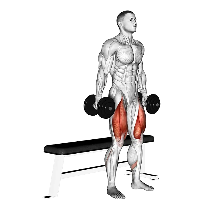 Dumbbell Bench Squat exercise animation (Male)