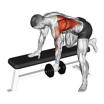 Dumbbell One Arm Bent-over Row