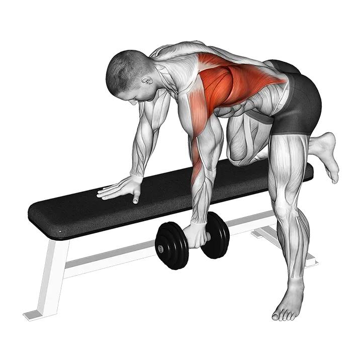 Dumbbell One Arm Bent-over Row exercise animation (Male)