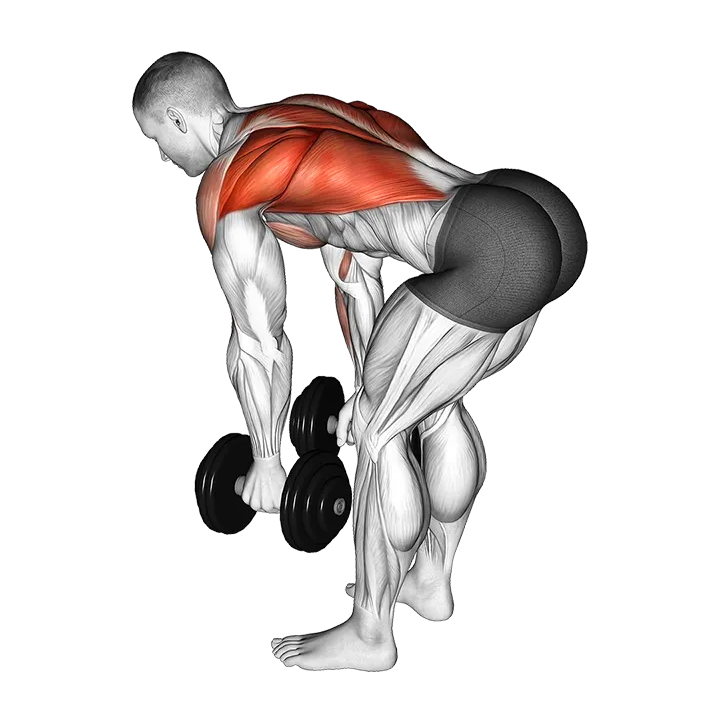 Dumbbell Bent Over Row exercise animation (Male)