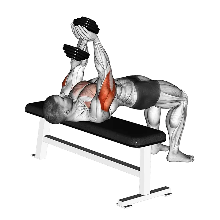 Dumbbell Close-grip Press exercise animation (Männlich)