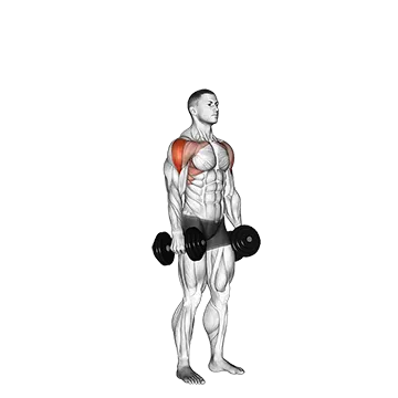 Dumbbell Cuban Press