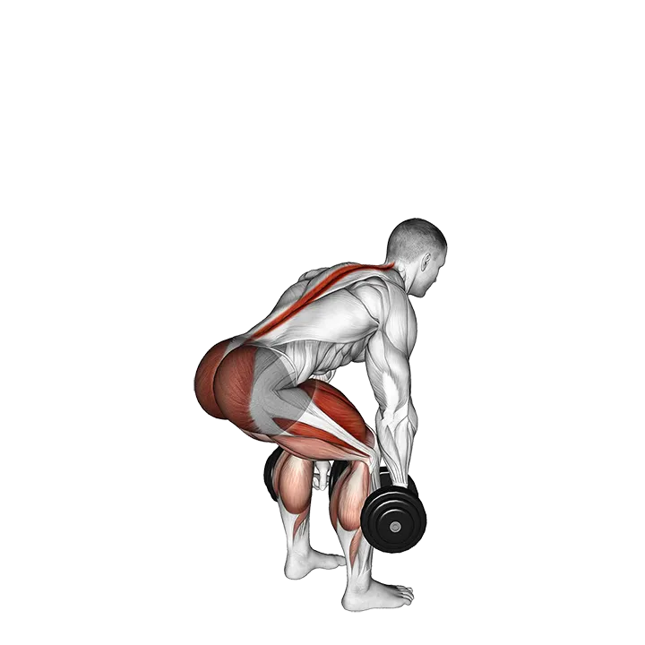 Dumbbell Deadlift exercise animation (Männlich)