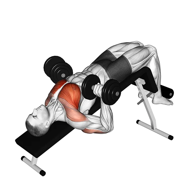 Dumbbell Decline Bench Press exercise animation (Male)