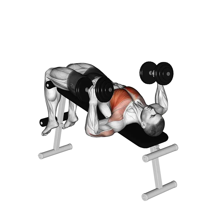 Dumbbell Decline Hammer Press exercise animation (Male)