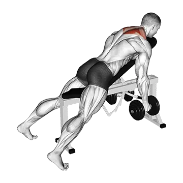 Dumbbell Decline Shrug (version 2)