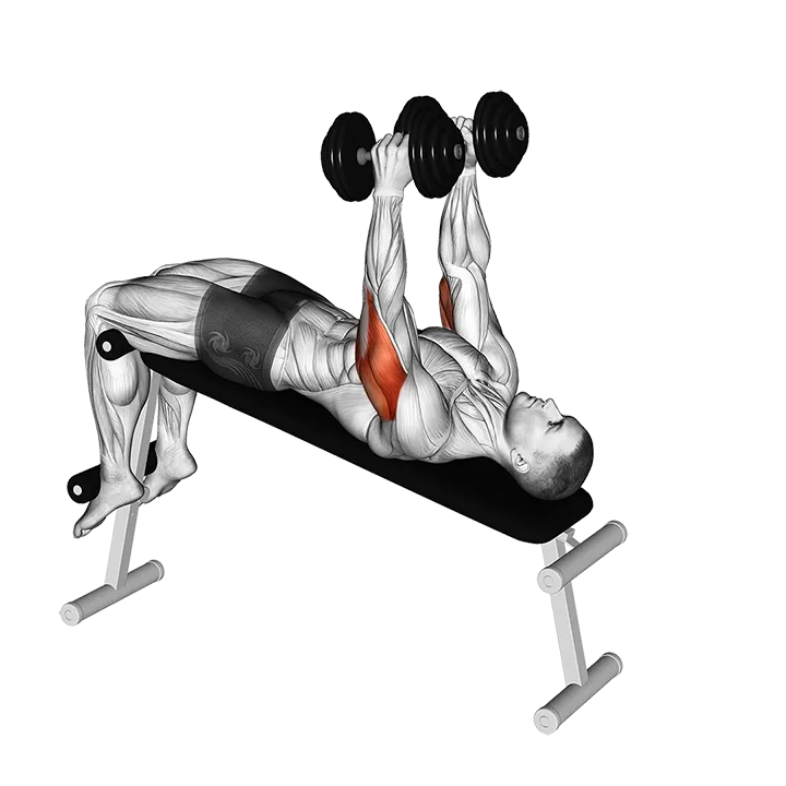 Dumbbell Decline Triceps Extension exercise animation (Male)