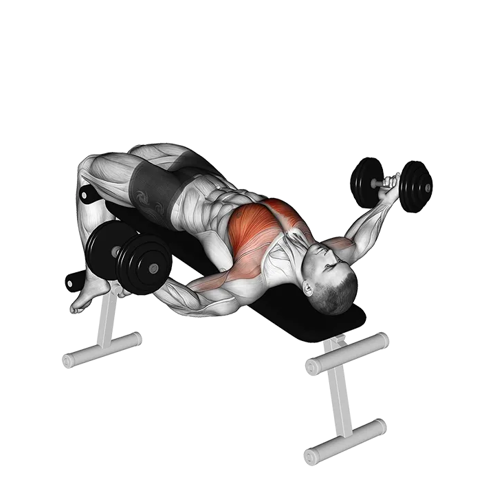 Dumbbell Decline Twist Fly exercise animation (Male)