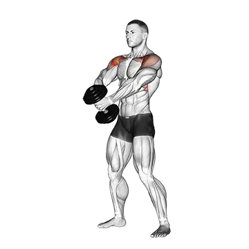 Dumbbell Front Raise (version 2)