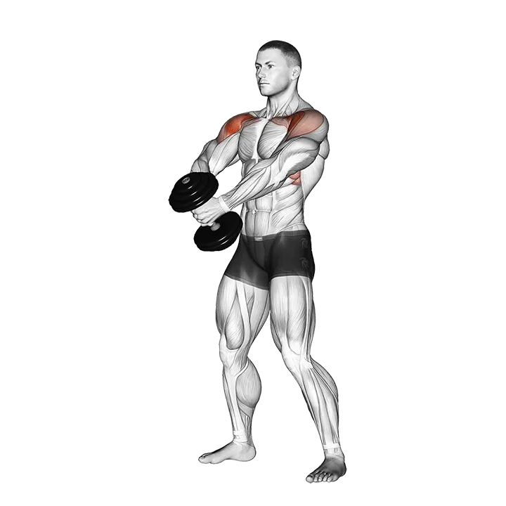 Dumbbell Front Raise (version 2) exercise animation (Male)