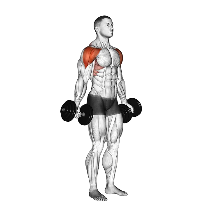 Dumbbell Full Can Lateral Raise exercise animation (Male)