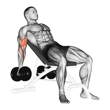 Dumbbell Incline Biceps Curl