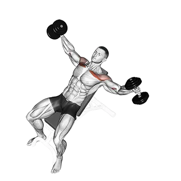 Dumbbell Incline Breeding