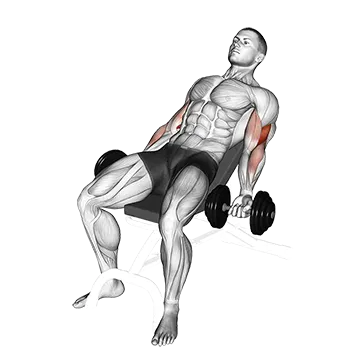 Dumbbell Incline Curl (version 2)