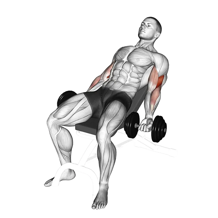 Dumbbell Incline Curl (version 2) exercise animation (Hombre)
