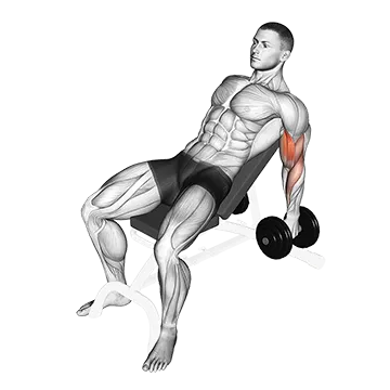 Dumbbell Incline Hammer Curl