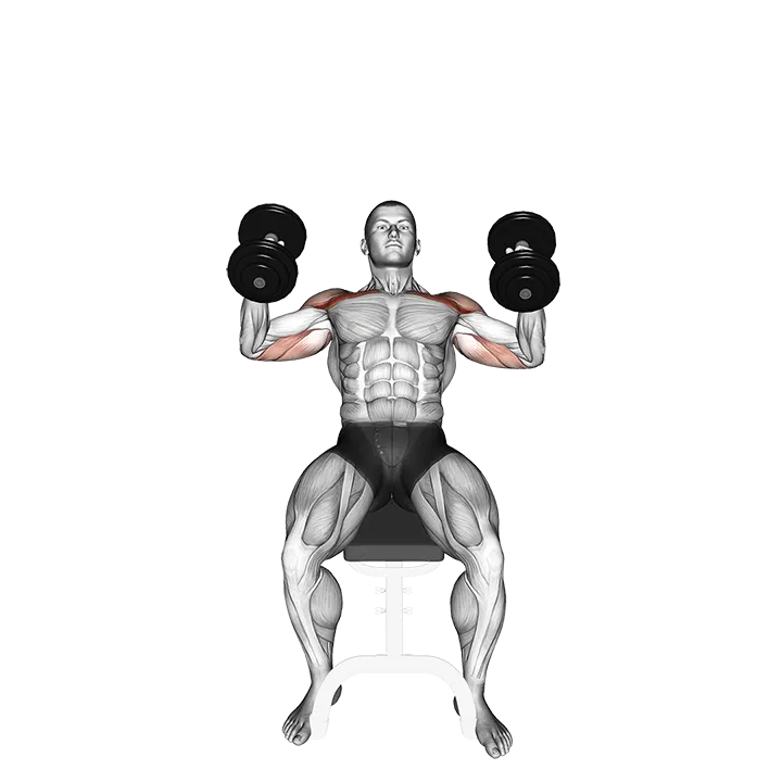 Dumbbell Incline Hammer Press exercise animation (Male)