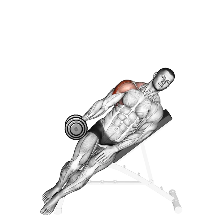 Dumbbell Incline One Arm Lateral Raise exercise animation (Male)