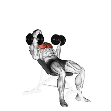 Dumbbell Incline Palm-in Press