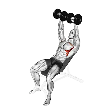 Dumbbell Incline Shoulder Raise