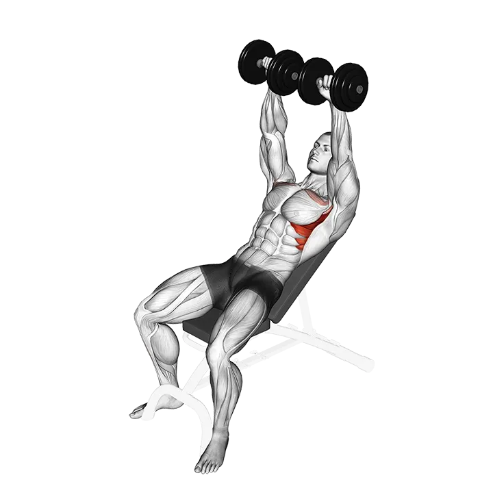 Dumbbell Incline Shoulder Raise exercise animation (Male)
