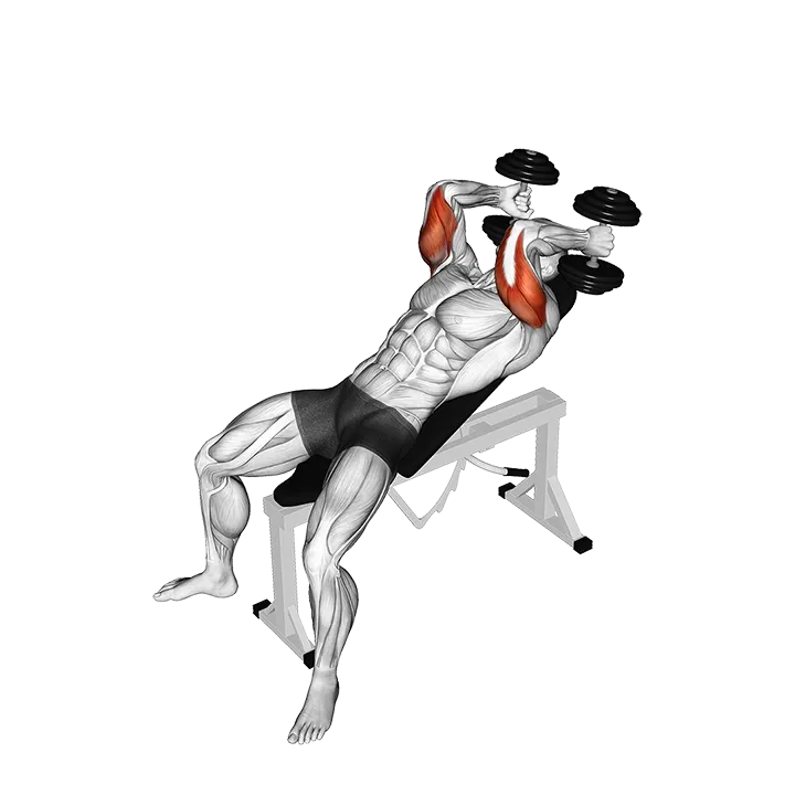 Dumbbell Incline Triceps Extension exercise animation (Male)